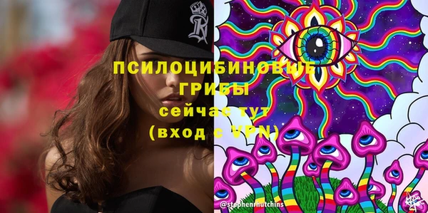 дживик Алексеевка