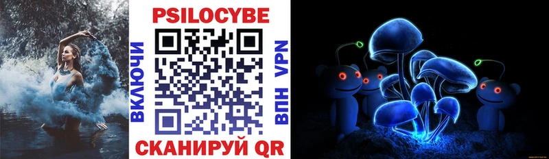где можно купить Энгельс Галлюциногенные грибы Psilocybine cubensis