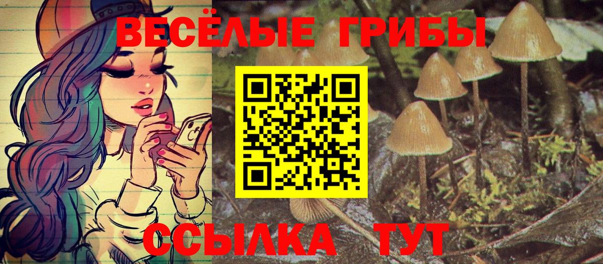 Галлюциногенные грибы GOLDEN TEACHER  Вход с VPN  Энгельс 