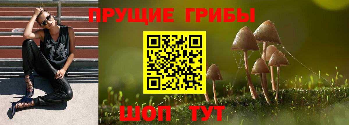 Псилоцибиновые грибы мицелий Энгельс